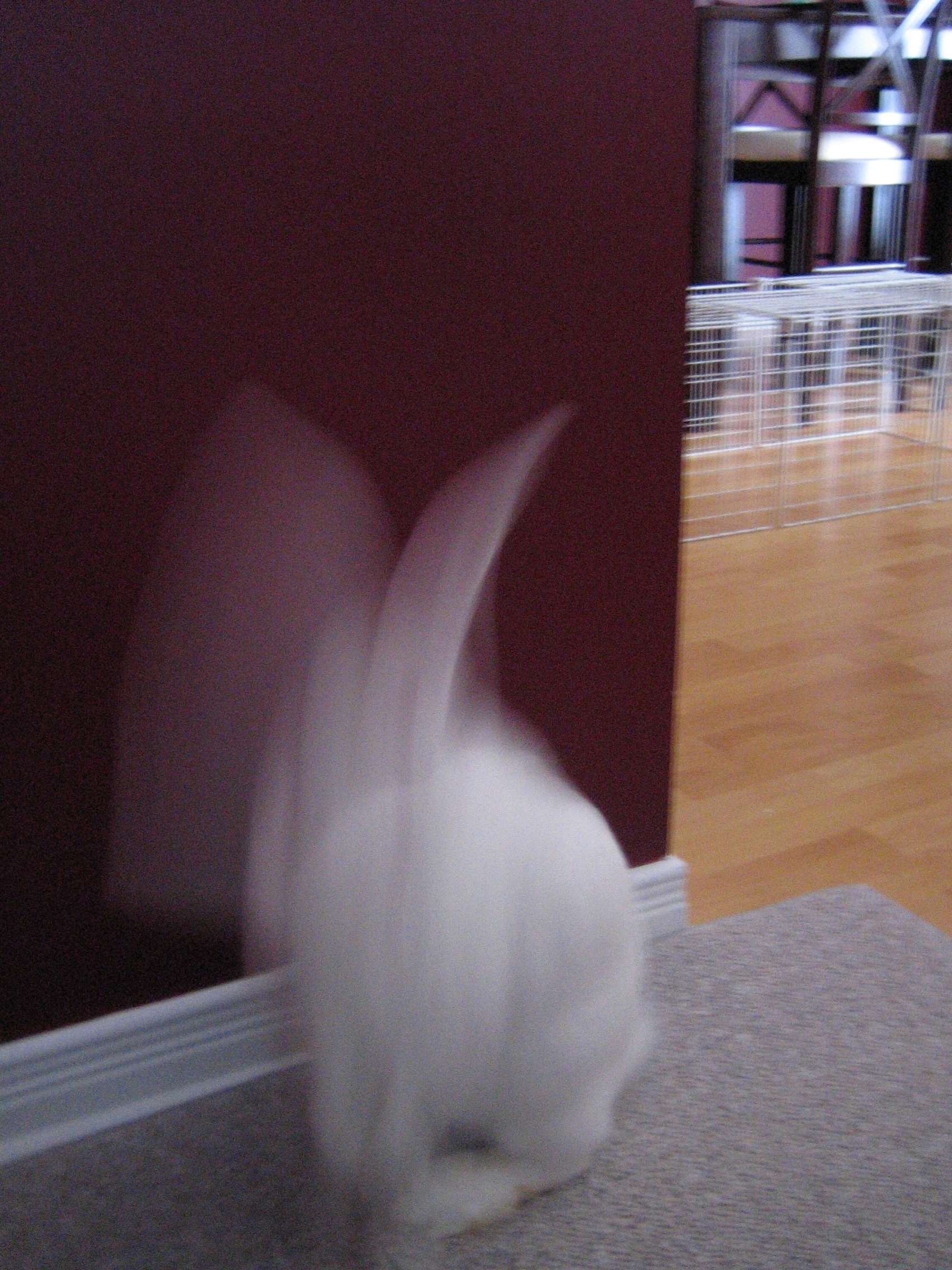 Image IMG_2214 not available at this resolution