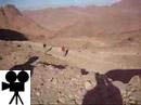 MountSinaiClimb