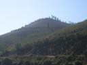 IMG_1029