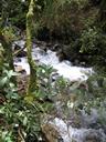IMG_1251