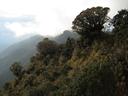 IMG_1318