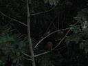 IMG_1541